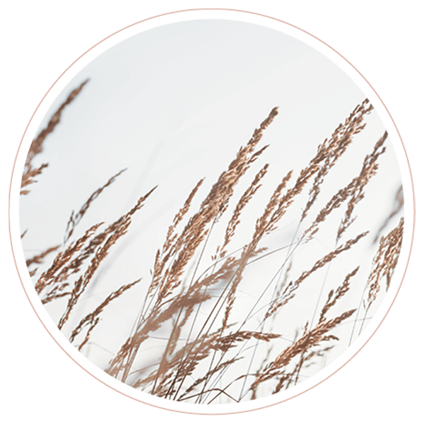 image_02_contact https://www.doptogloutherapy.gr/wp-content/uploads/2022/02/image_02_contact.png